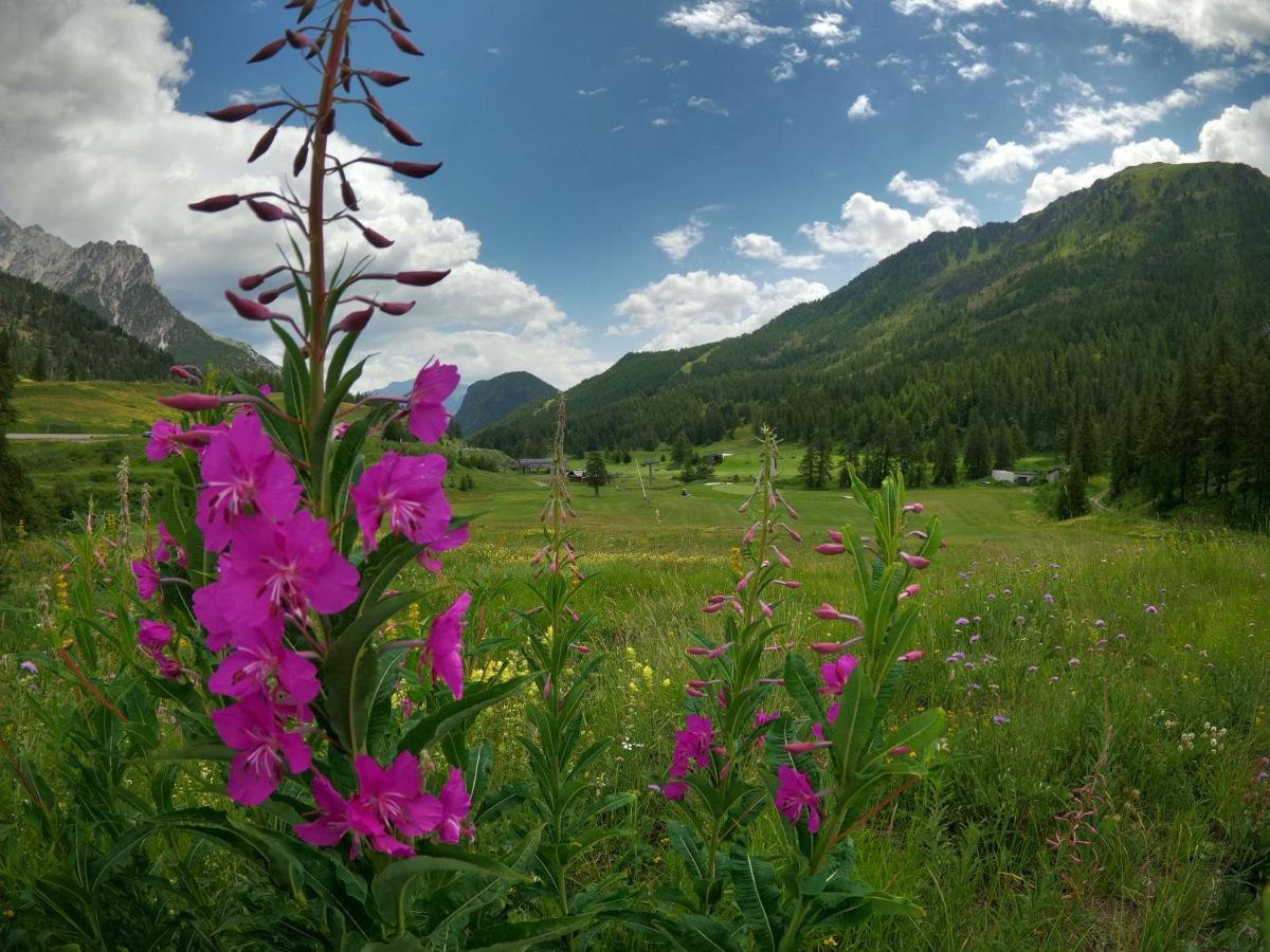 L'Etesy, Pied Des Pistes Et Spa มงต์เฌอแนฟวร์ ภายนอก รูปภาพ