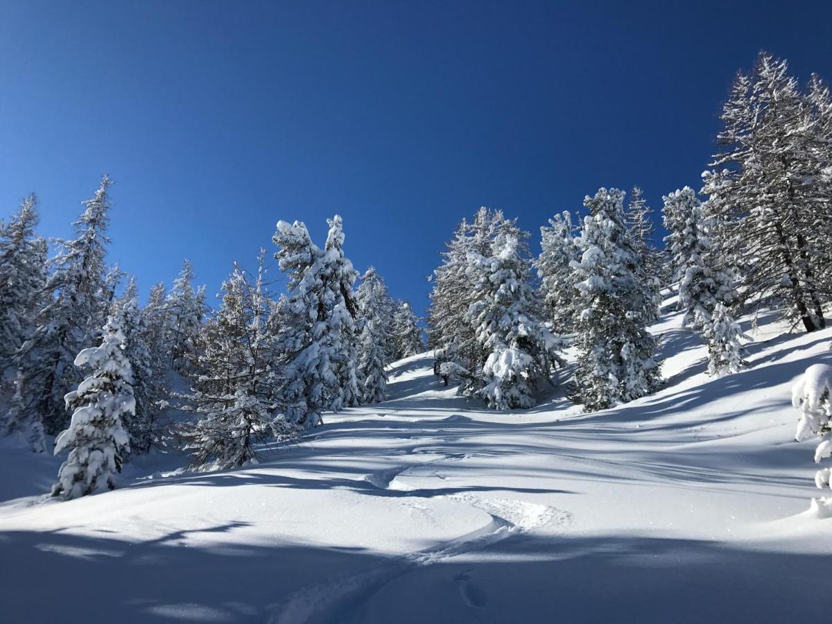 L'Etesy, Pied Des Pistes Et Spa มงต์เฌอแนฟวร์ ภายนอก รูปภาพ